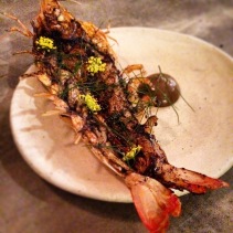 A fab meal at Fleet, Brunswick heads! King prawn, black garlic, bronze fennel